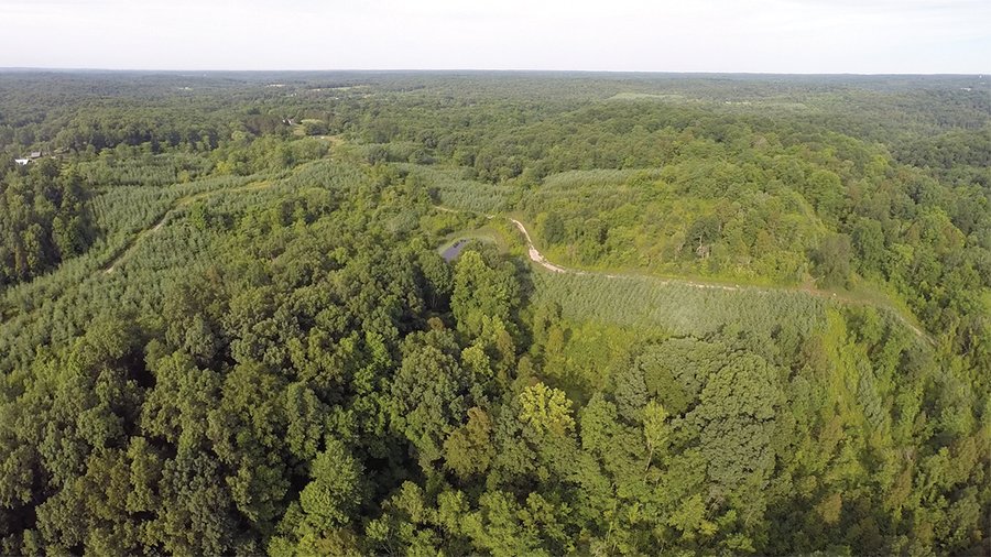 WOODLAND AUCTION, SOUTHEAST OHIO WOODLAND - 2,500+/- Acres offered in 66 Tracts in Muskingum, Athens, Meigs & Gallia Counties